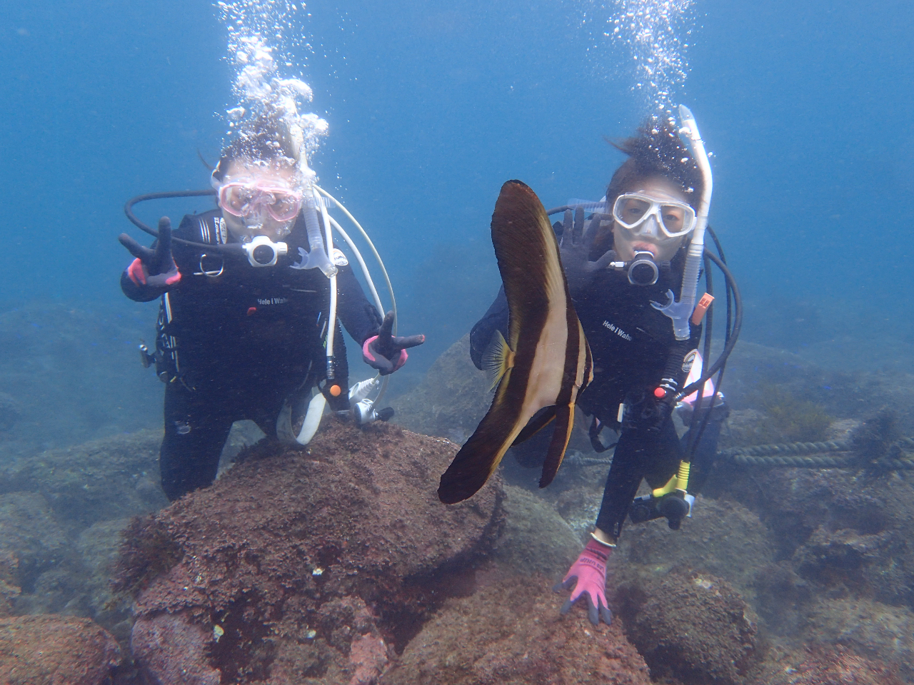 ����ȑ傫�ȁA����������������