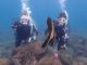 こんな大きな、珍しい魚も見られる