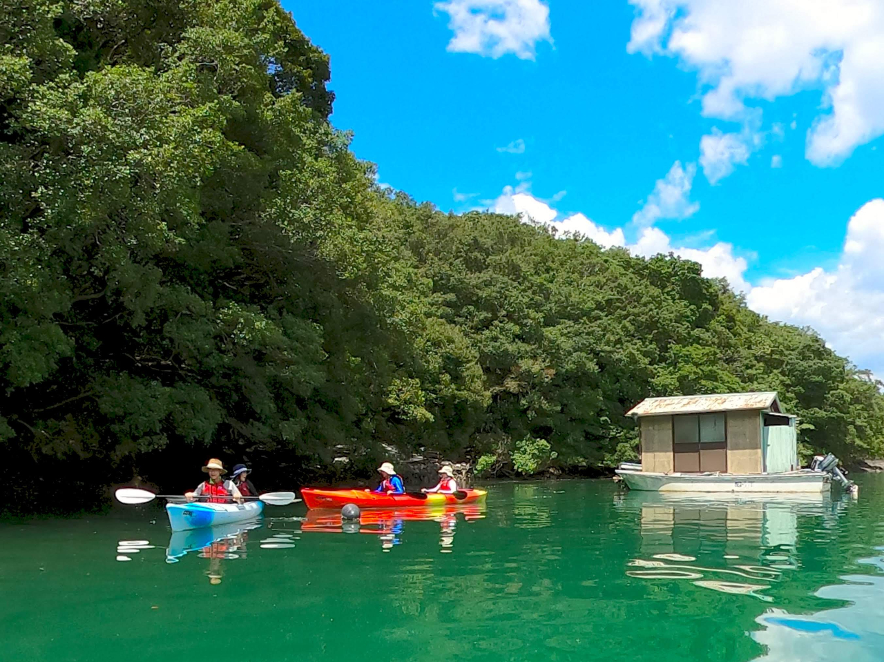 Ȕ̏ɏԔ閧̓]ɂsႢ܂IC̓WOTIH