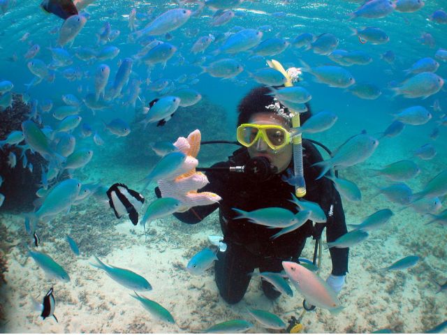 海の中も明るく、カラフルな魚たちもいっぱい!
世界に誇る宮古島の海は、ビーチ体験ダイビングが絶対オススメ!!