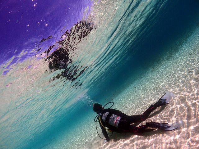 幻想的な水中世界の感動は、きっと忘れられない思い出に・・・