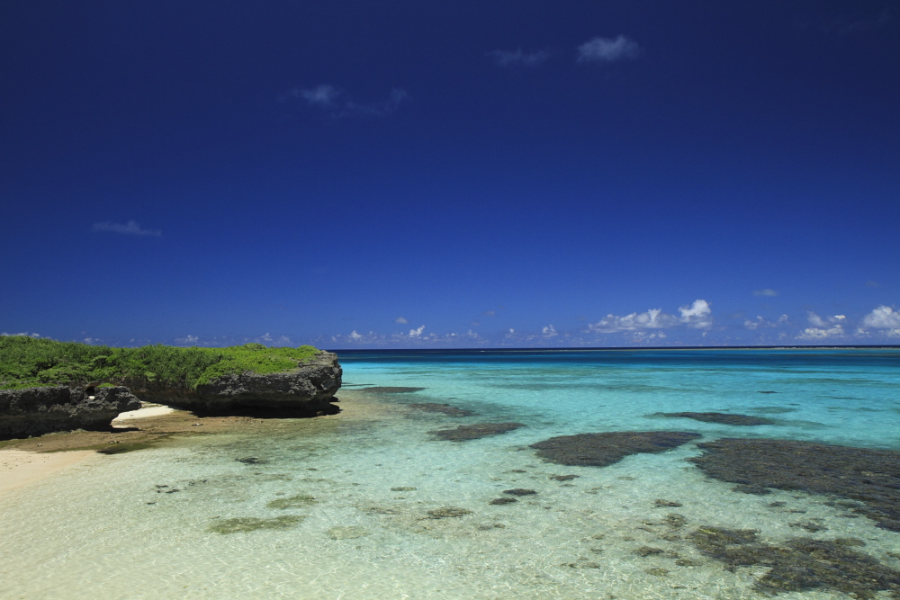 łw̔ւ{ÓyɊyނȂVm[POԁI