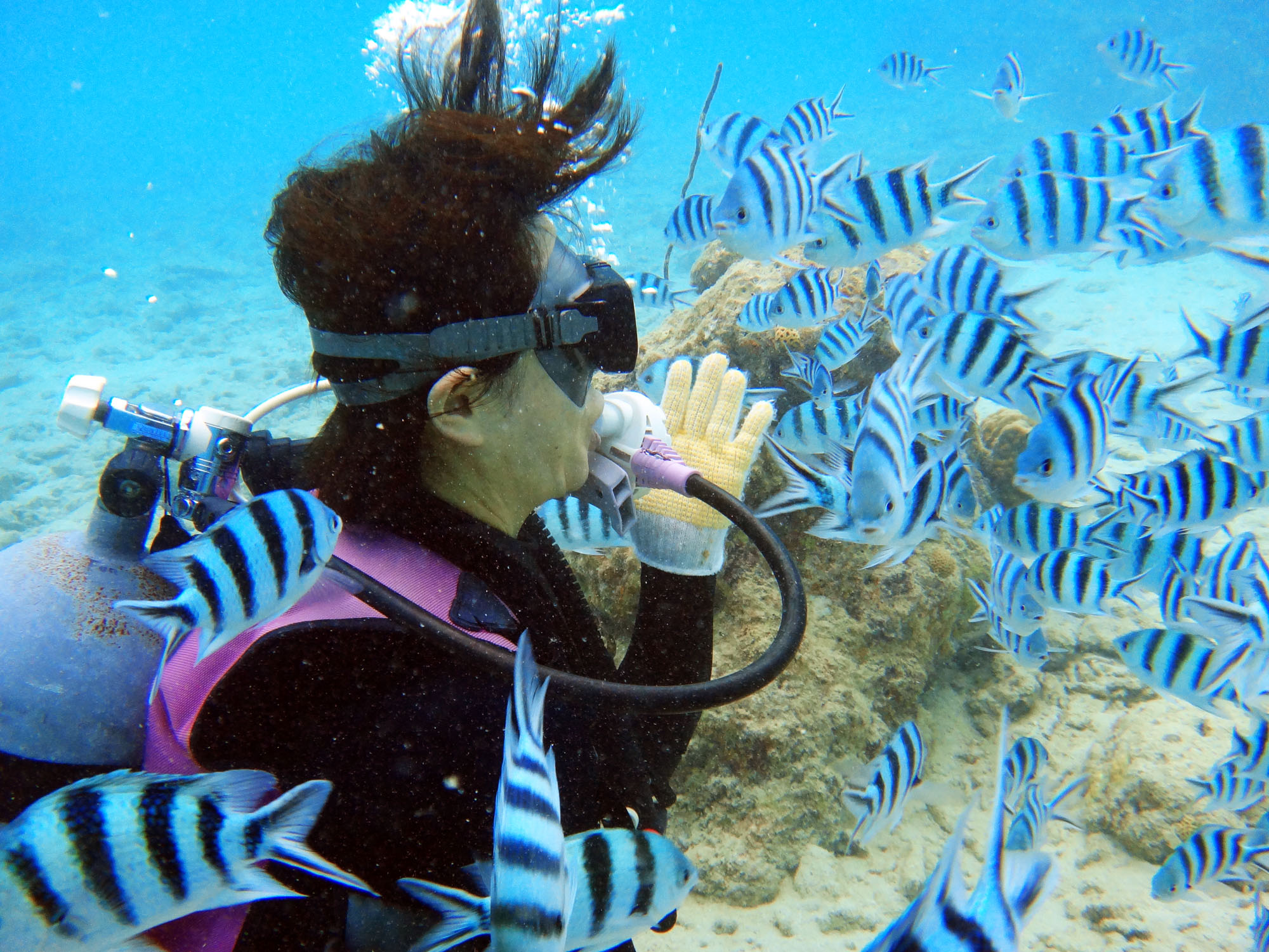 目の前に魚が寄ってきます〜ぅ♪