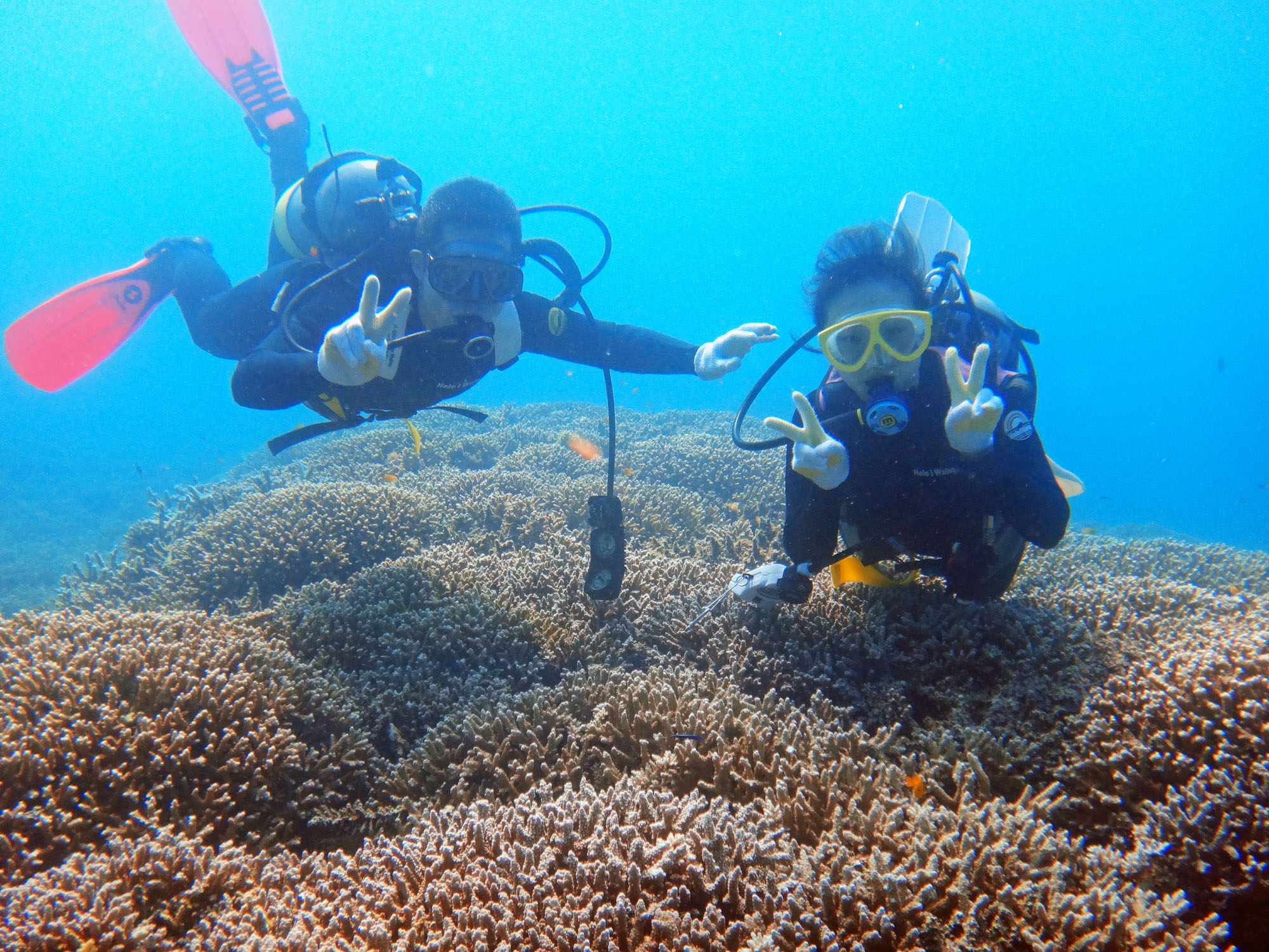 やっぱり石垣島の海はキレイ♪