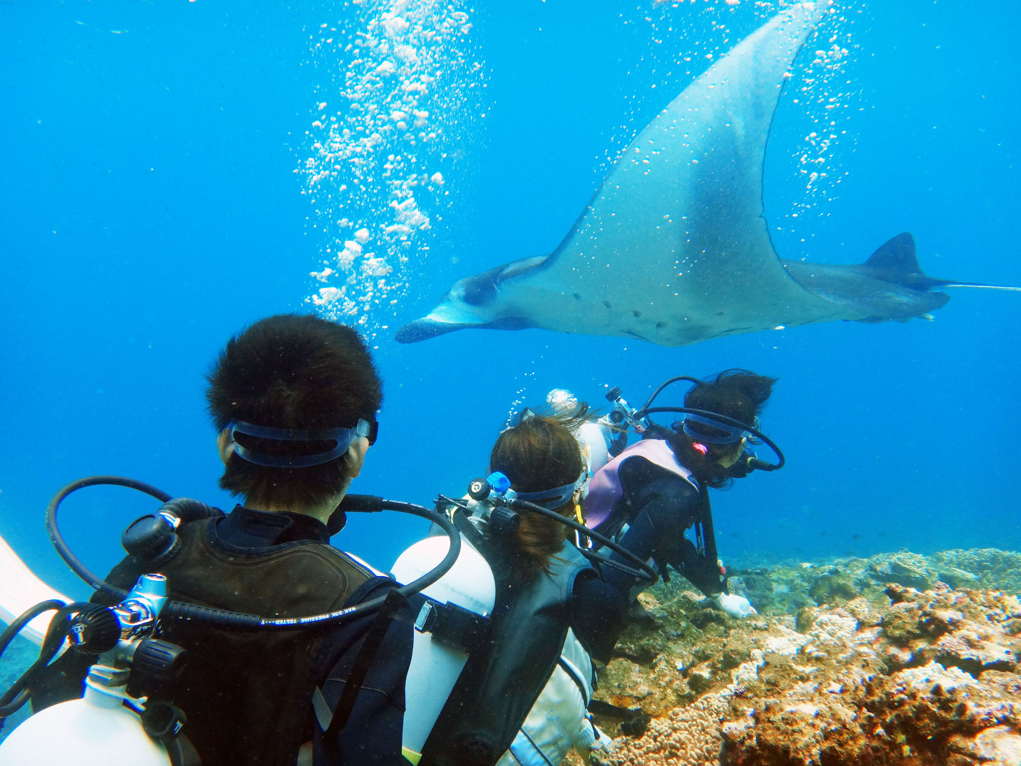 運が良ければ…!?