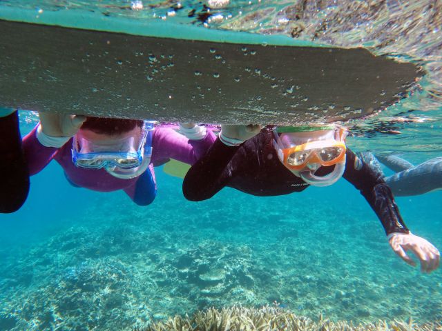 泳げなくても浮き具があるから安心(^^)/