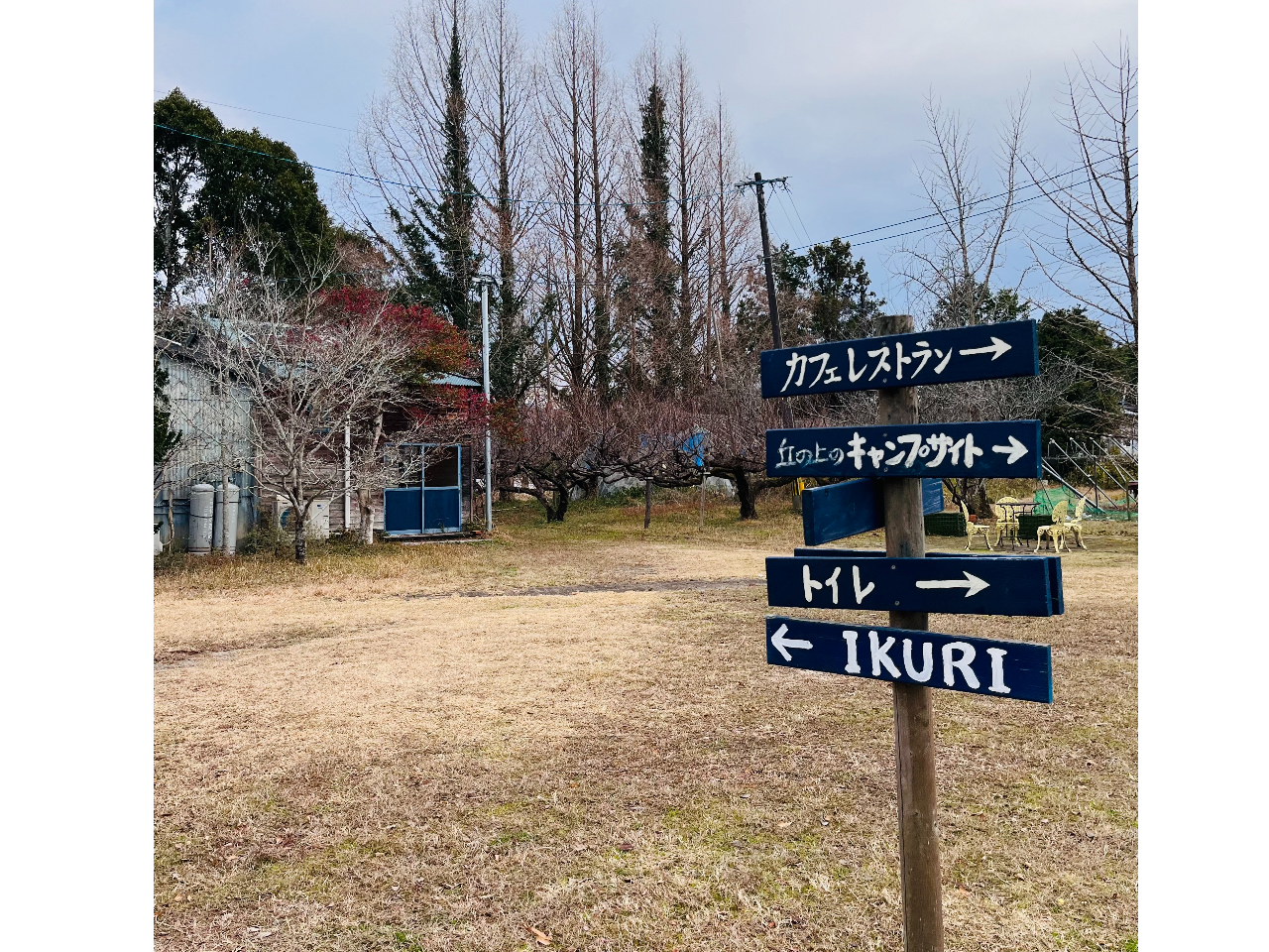 ~nɂ́AJtFXgAƐVRypuIKURIvALvigCA[h5j܂BԂǂł܂B