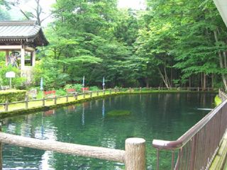 清流をせき止めた大きな池で釣りをしよう♪