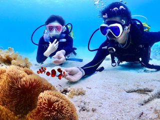 クマノミとの記念写真もスタッフがお撮りします。撮ったデータは無料でプレゼント