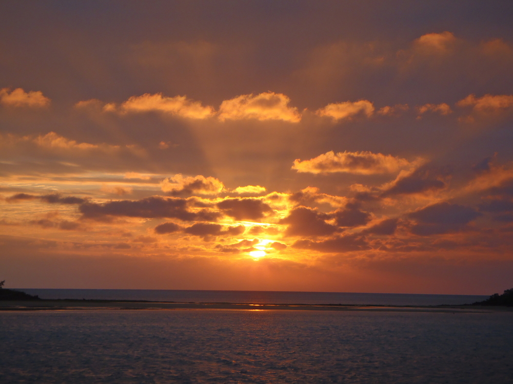 Gg[͓vɍ킹āBLCȗ[zĂ܂