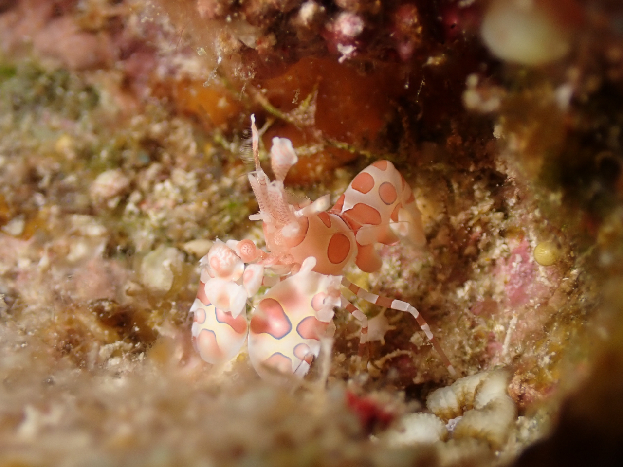 bkނ͊{IɖsIAɉ邩IH