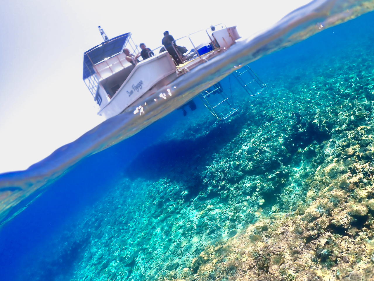 宮古島発｜ボートリフレッシュダイビング】1組限定＊レンタル器材込み