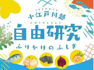 スパイスを使ったふりかけのふしぎを大研究!夏休みの宿題を楽しく済ませよう!
