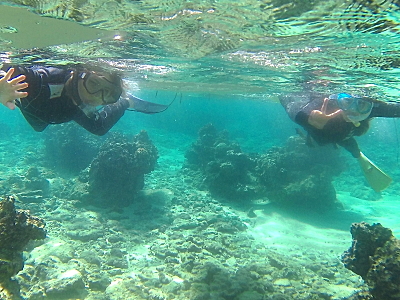 ���l���T���ISUP&�V���m�[�P�����O