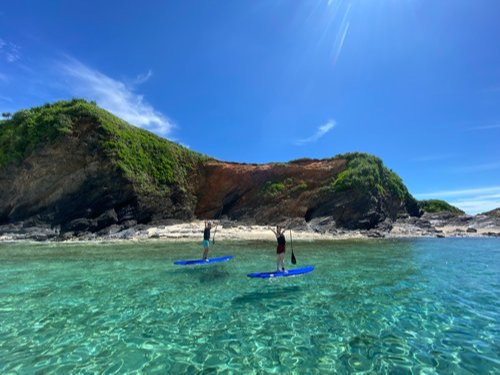 ���l���T���ISUP&�V���m�[�P�����O