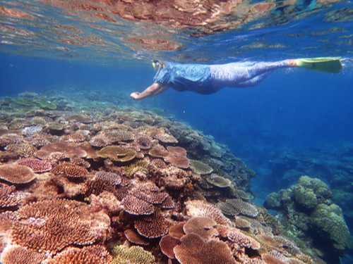 シーカヤック体験&シュノーケリングコース