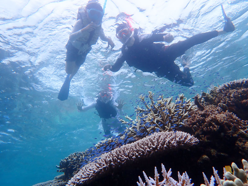 シーカヤック体験&シュノーケリングコース