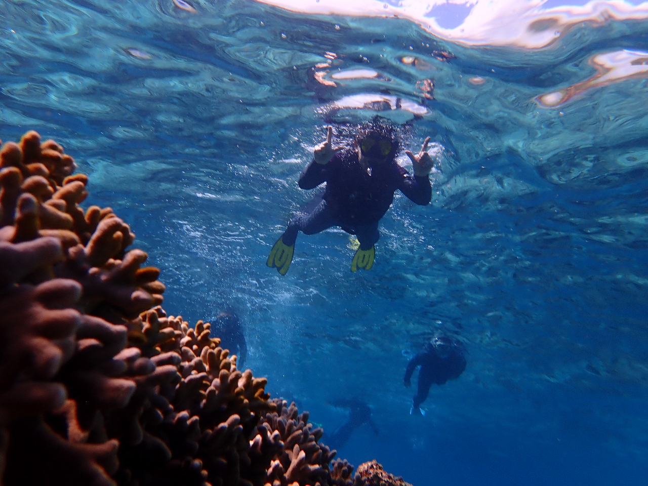無人島探検!シーカヤック&シュノーケリング