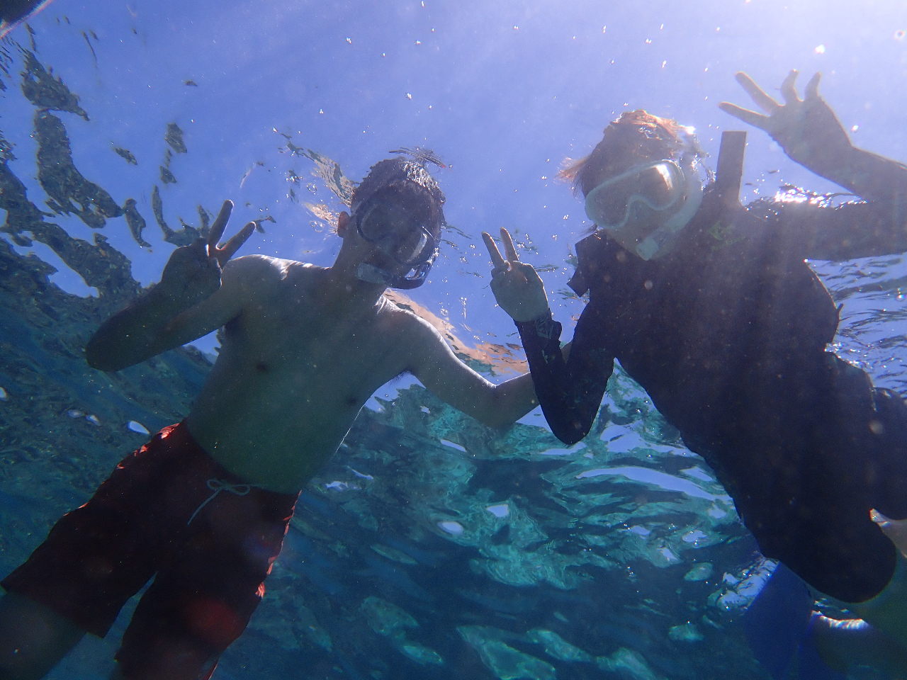 無人島探検!シーカヤック&シュノーケリング