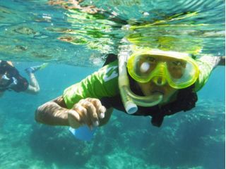 ビーチからスタートするシュノーケリング体験ツアー