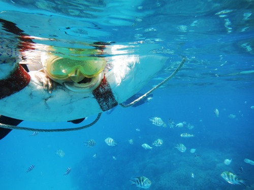 ビーチからスタートするシュノーケリング体験ツアー