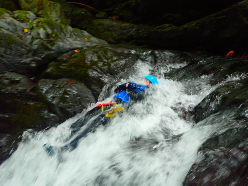 �V�R�̃E�H�[�^�[�X���C�_�[�I