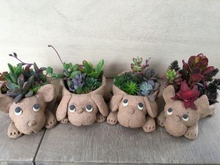 人気のワンコ鉢も手作りで!