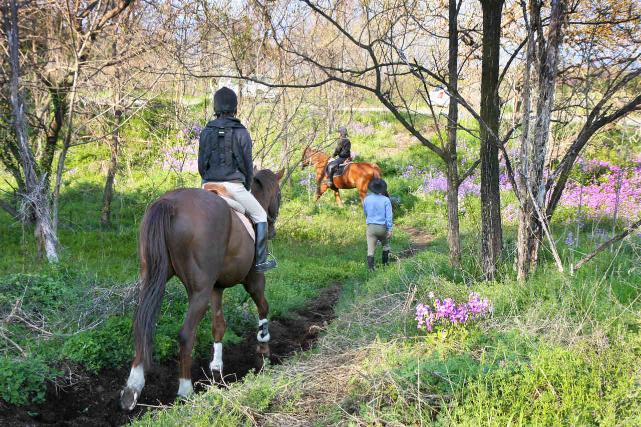 夏の外乗コースは緑がいっぱい!