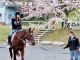 馬場で馬の揺れに慣れることからチャレンジ♪
