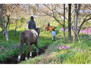 自然の中でリフレッシュ♪