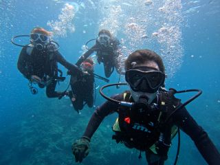 青の洞窟体験ダイビング♪