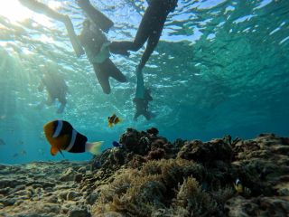 女子旅にも大人気!