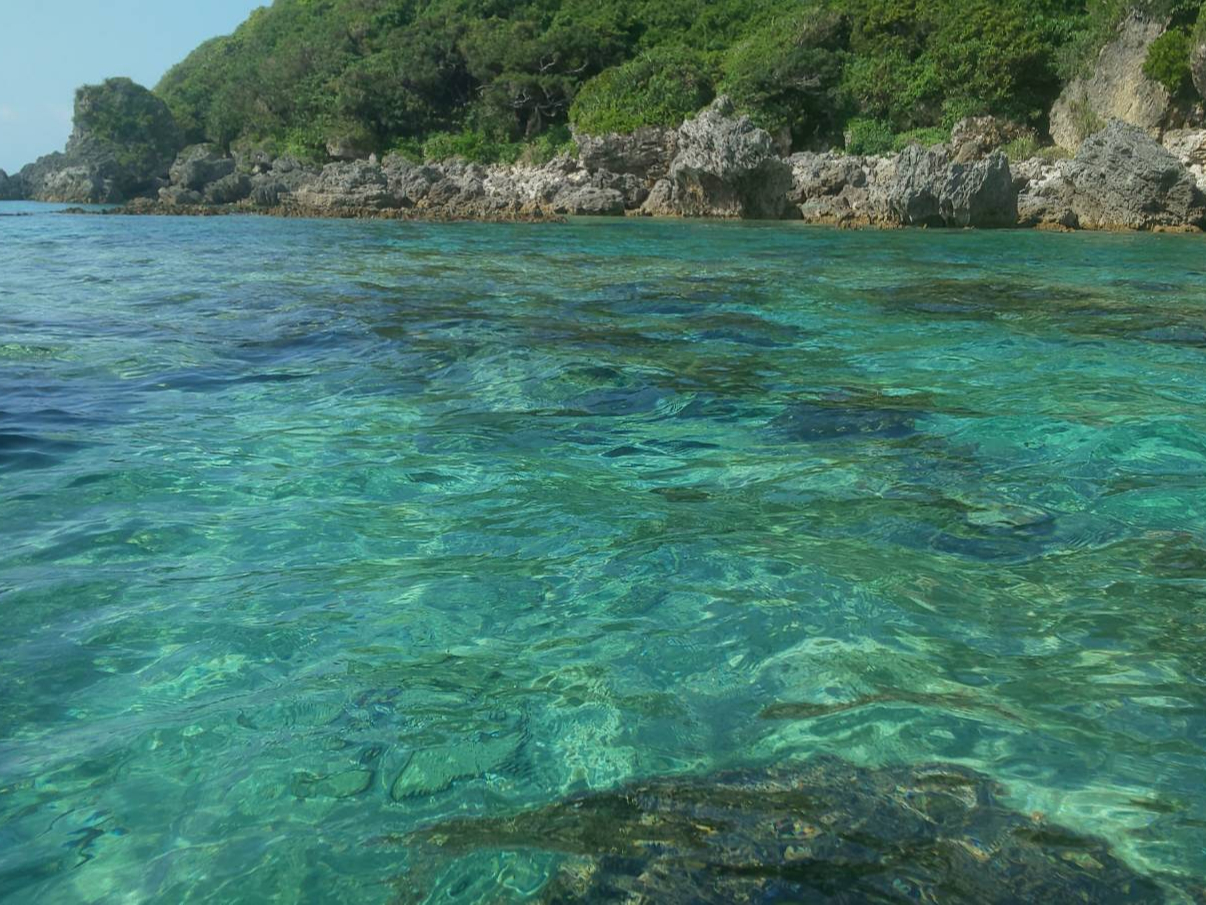 カヤックから見た海の様子です。水中にはサンゴや熱帯魚を見ることが出来ます。