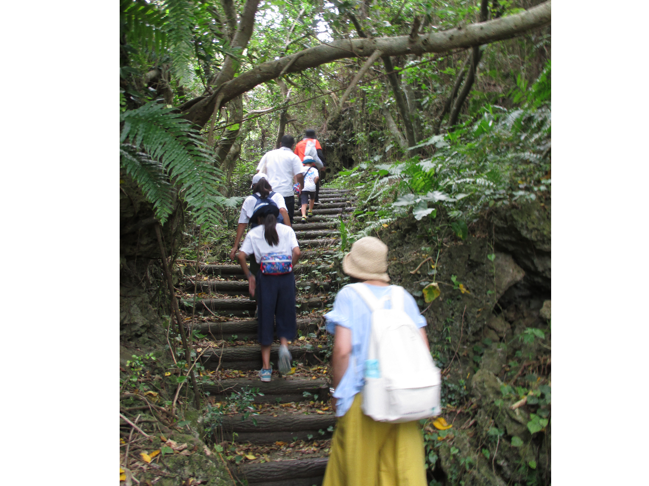 ͋C̓WOłAYɐĂ̂ňSɊyނƂo܂B