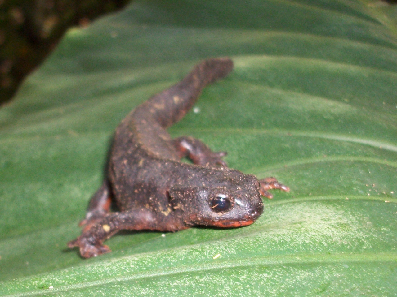 ͏Ŋ뜜EVPCBɂVRLOŊ뜜Ɏw肳Ă̂ȂǁA100ނ̓AmFĂ܂B