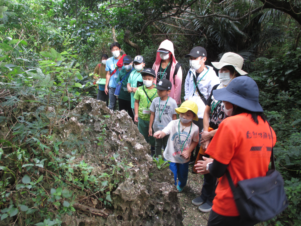 ͊CȂI`ԂŖ30̏ꏊɁA΂ɂʗΖLȐX܂B