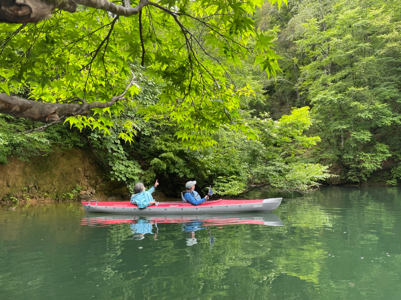 水が多いときには木々が水にひたるほど。きれいな花や葉を探して漕ぐのも楽しい時間です。