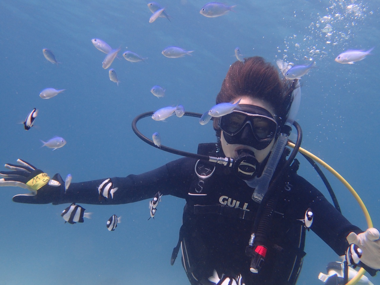 �J���t���ȋ������ƈꏏ�ɁA�P���I