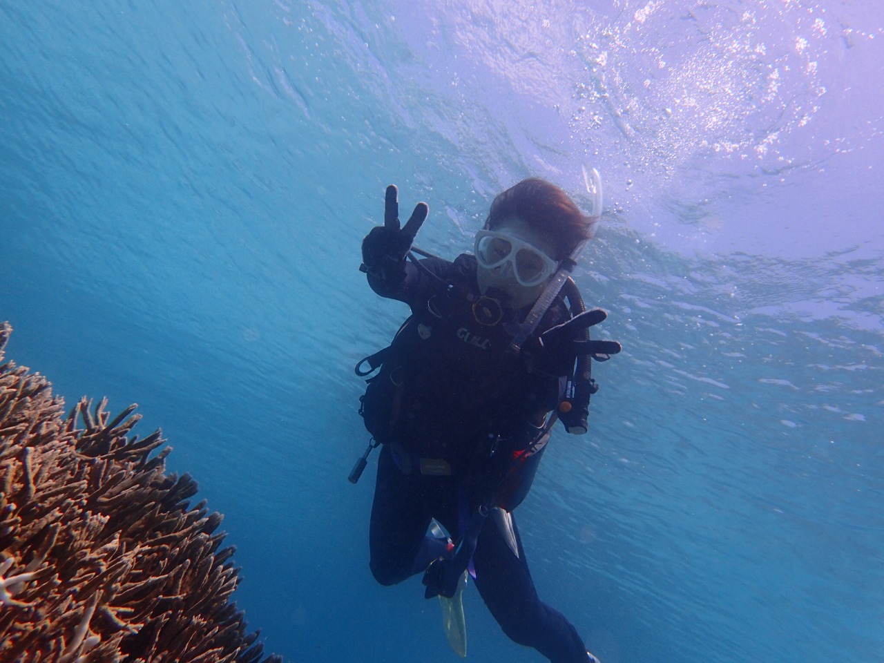 �]�T���o�Ă�����A�J�����Ɍ�������V