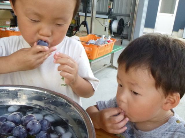 氷水で冷え冷えにして!!