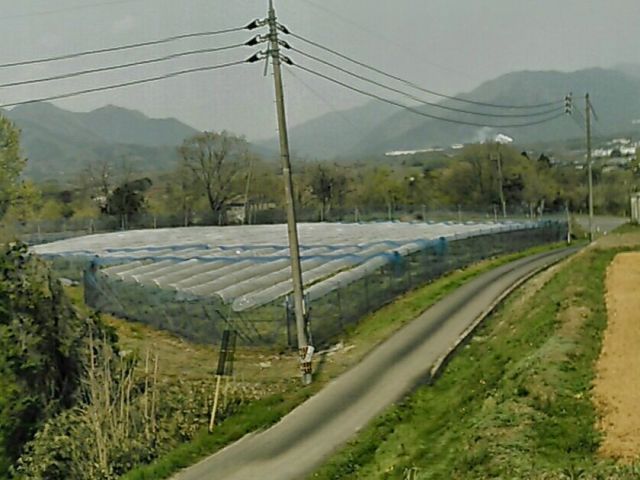 ひろーい農園を眺めながら