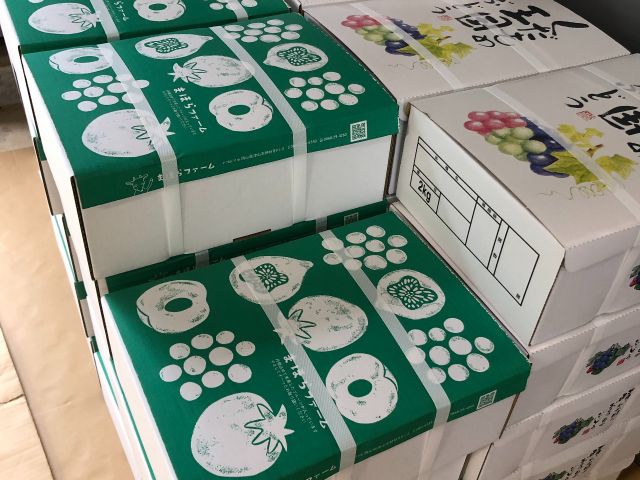 発送もできます(ヤマトクール便2箱までまとめてOK)