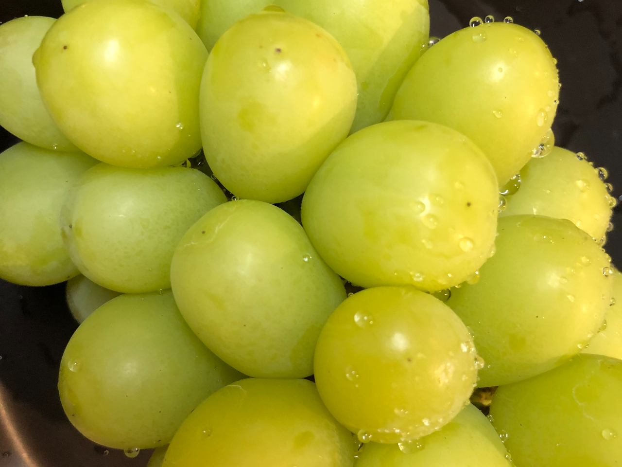 _Ȃł͂̊nVC}XJbg͂ƂĂXC[g( ^)o(^ )Xŗ₦₦ɂāII