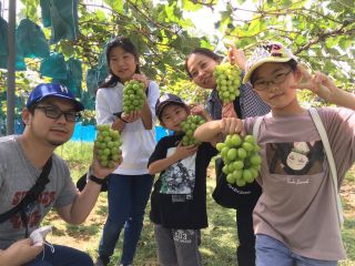 自然豊かな、ゆっくり、のんびりした農園です。とびきりのぶどうを探して食べてね!!