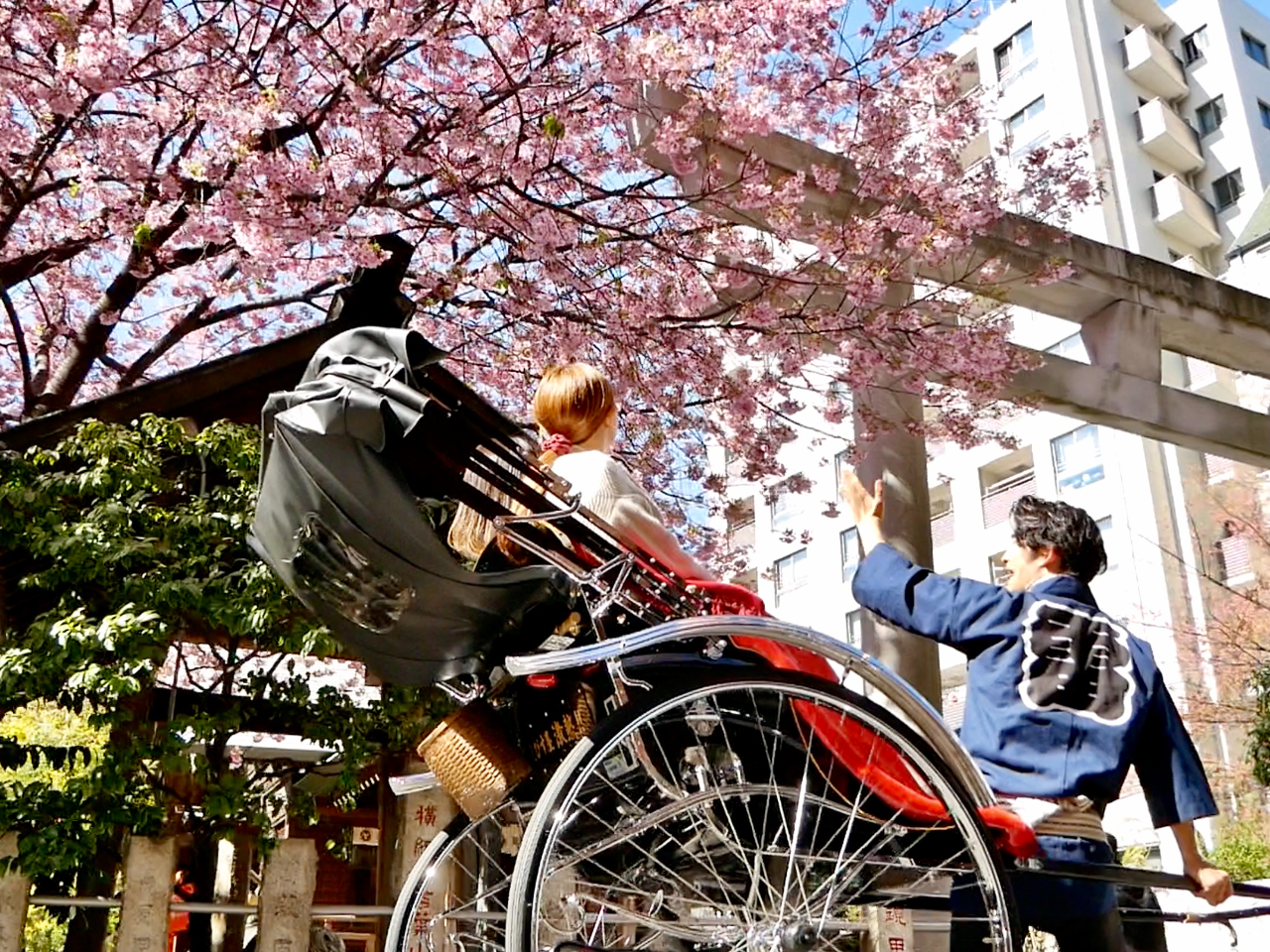 季節の旬をお届け