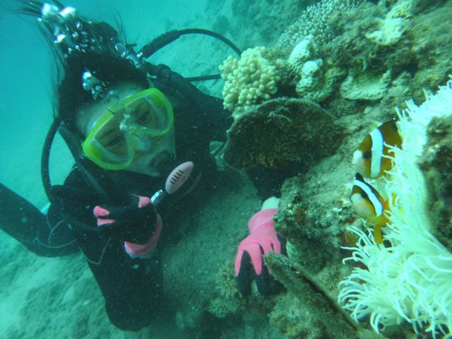 クマノミも目の前で元気な姿を見せてくれます。