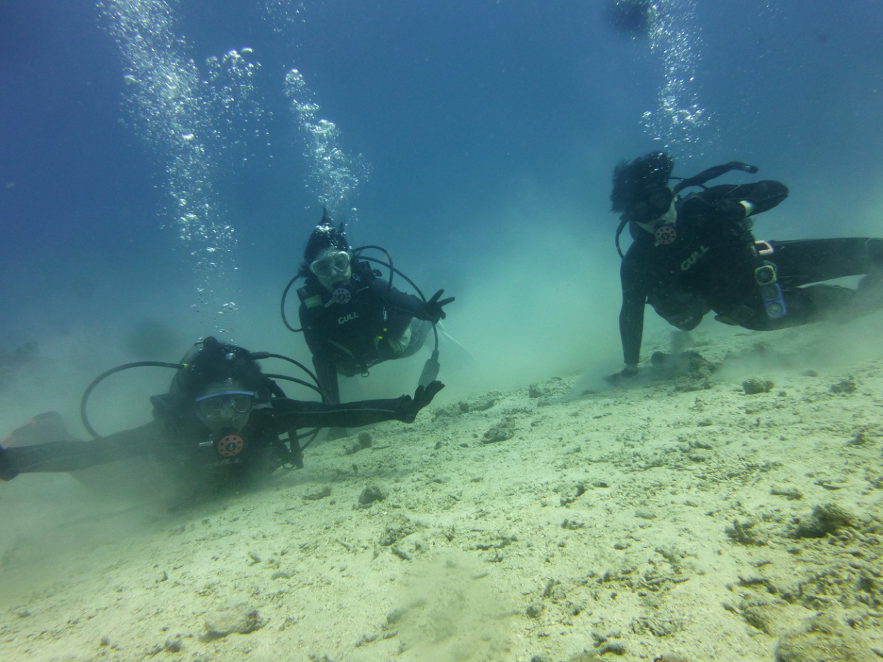 DiveService BlueGate ダイブサービスブルーゲイトの割引プラン
