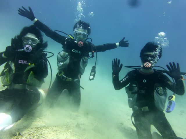 初めてでも大丈夫!