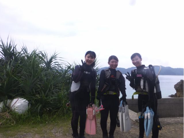 奄美大島の旅の思い出に!