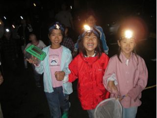 夜の森をライトを持って探検しよう!コウモリやホタルに会えるかも!